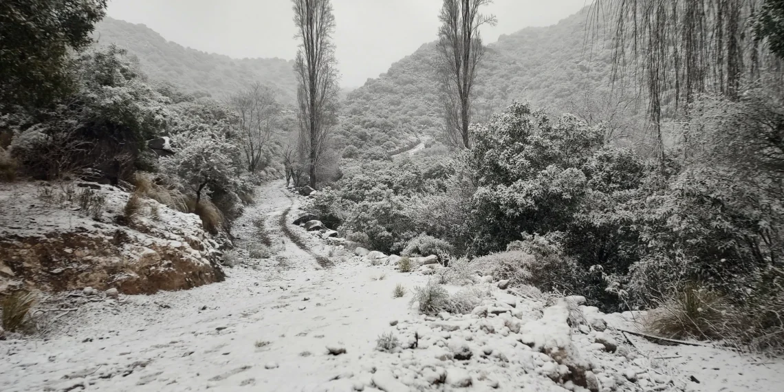 Valle Fértil amaneció vestido de blanco: las impactantes postales que dejó la nieve