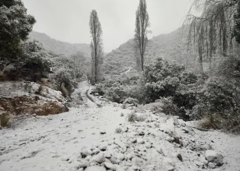 Valle Fértil amaneció vestido de blanco: las impactantes postales que dejó la nieve