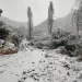 Valle Fértil amaneció vestido de blanco: las impactantes postales que dejó la nieve