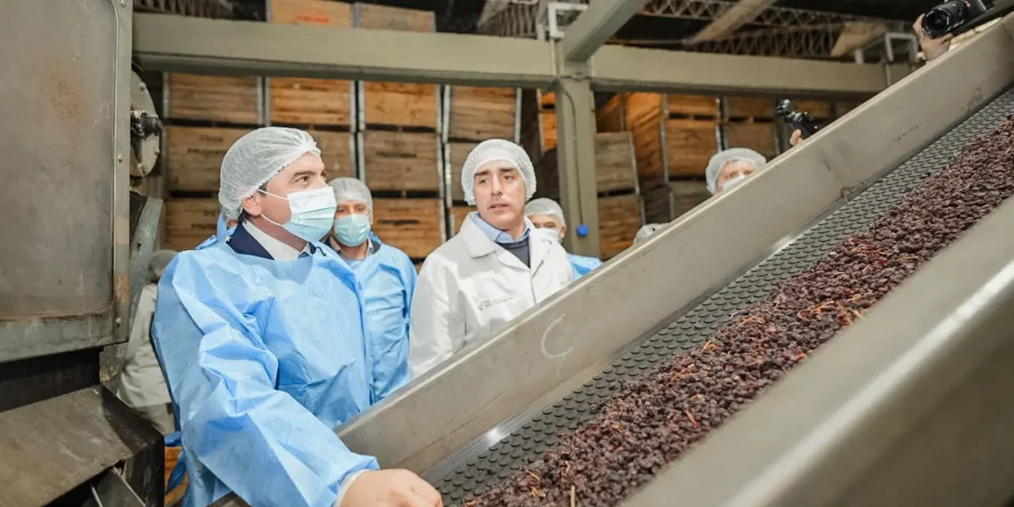 El gobernador Orrego visitó la planta de Frutandina en Albardón y destacó su perfil exportador