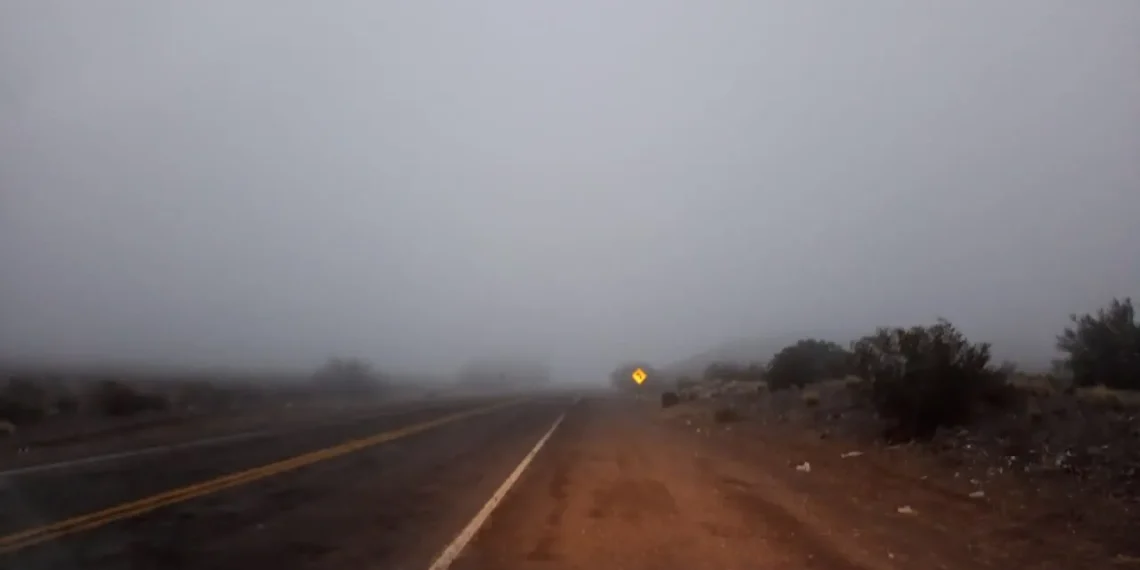 Precaución al conducir: Vialidad Provincial reporta banquinas con hielo, nieve y bancos de neblina en rutas de Ullum