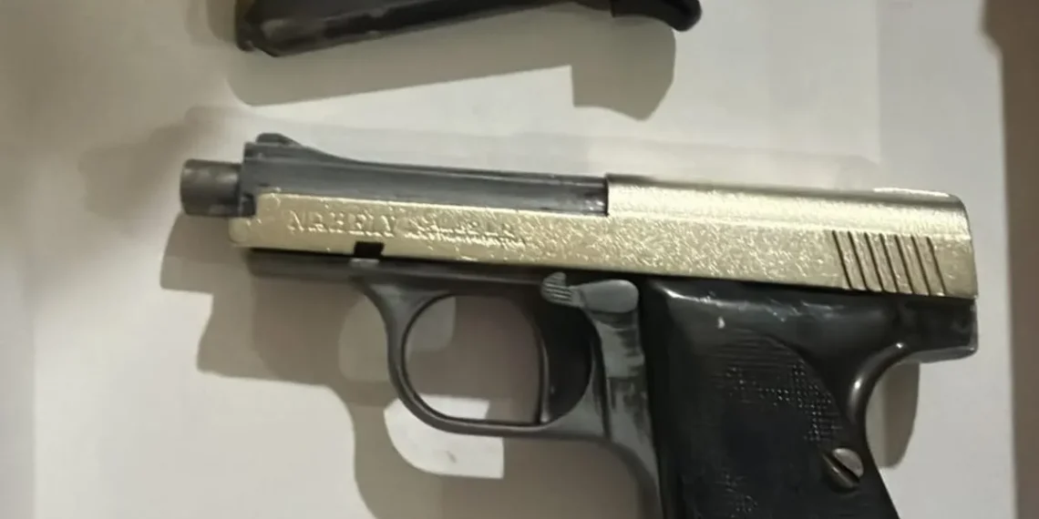 Horror en Pocito: un allanamiento reveló faena clandestina de equinos, armas y aves en cautiverio