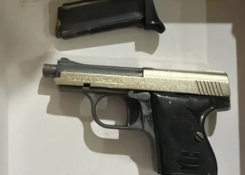 Horror en Pocito: un allanamiento reveló faena clandestina de equinos, armas y aves en cautiverio