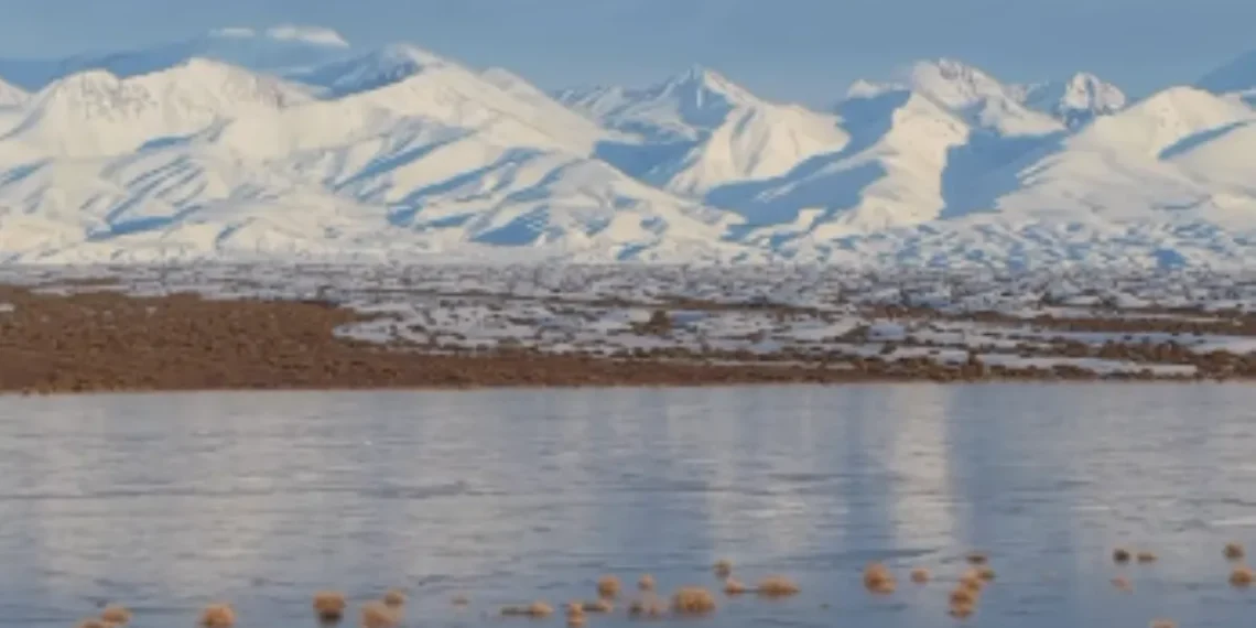 Fenómeno en Calingasta: impresionantes imágenes de La Pampa del Leoncito tras las intensas lluvias