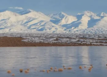 Fenómeno en Calingasta: impresionantes imágenes de La Pampa del Leoncito tras las intensas lluvias