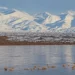 Fenómeno en Calingasta: impresionantes imágenes de La Pampa del Leoncito tras las intensas lluvias