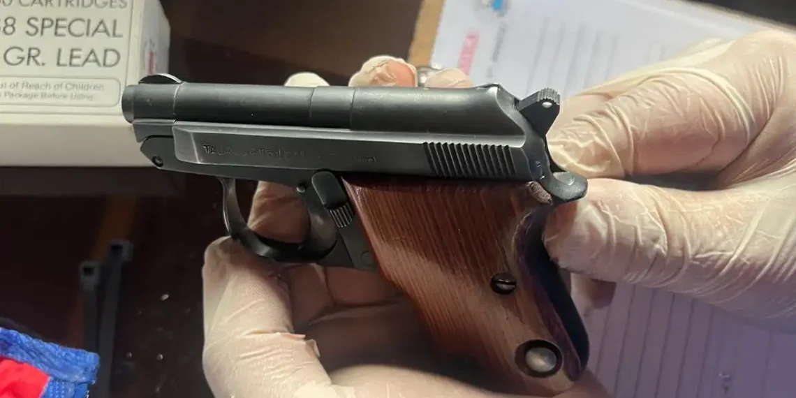 Inesperado hallazgo tras un robo: secuestraron un arsenal de armas en una vivienda de Capital y detuvieron al propietario
