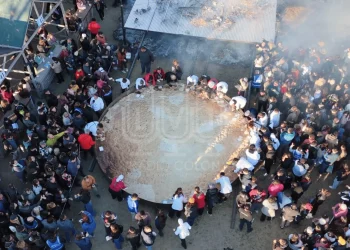 Furor en Rawson: la semita más grande del mundo pesó 900 kilos y se robó todas las miradas