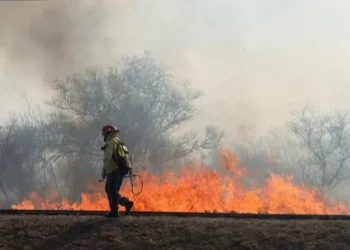 Incendios sin tregua por el Zonda: se registraron unos 30 focos en cinco departamentos de San Juan