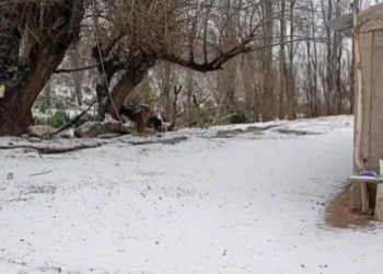 Histórica ola polar en San Juan: la nieve y el aguanieve transforman el paisaje de la provincia