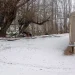 Histórica ola polar en San Juan: la nieve y el aguanieve transforman el paisaje de la provincia