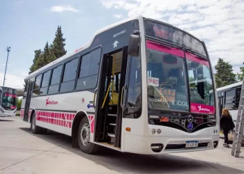 Ante el partido de la Selección, el Gobierno exigirá garantizar el servicio de colectivos este miércoles