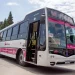 Ante el partido de la Selección, el Gobierno exigirá garantizar el servicio de colectivos este miércoles