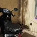 Insólito en Santa Lucía: robó una moto y la policía lo atrapó mientras intentaba desguazarla a fierrazos en la calle