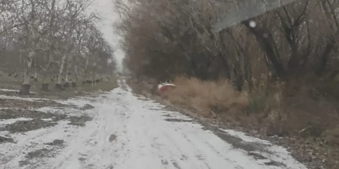 La nieve llegó a San Juan: Pedernal amaneció vestida de blanco tras el intenso ingreso del viento sur