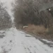 Primeras nevadas del año: el invierno cubrió de blanco a Pedernal y encendió la ilusión en San Juan
