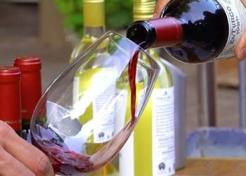 El vino argentino cerró un primer semestre positivo: las exportaciones crecieron un 14,2% de la mano del vino a granel y el mosto