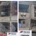 Desbarataron un criadero clandestino de gallos de riña en 25 de Mayo tras un allanamiento
