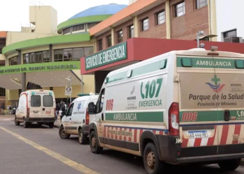 Conmoción en Misiones: una jubilada de 93 años murió tras ser atacada por un dogo en Santa Ana