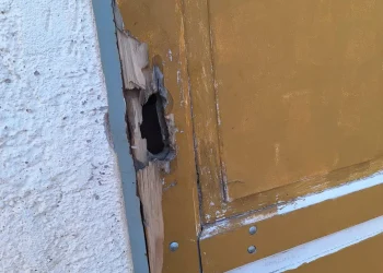 Alerta por las cámaras: intentó entrar a robar a la casa de su vecino no vidente en Chimbas y fue detenido