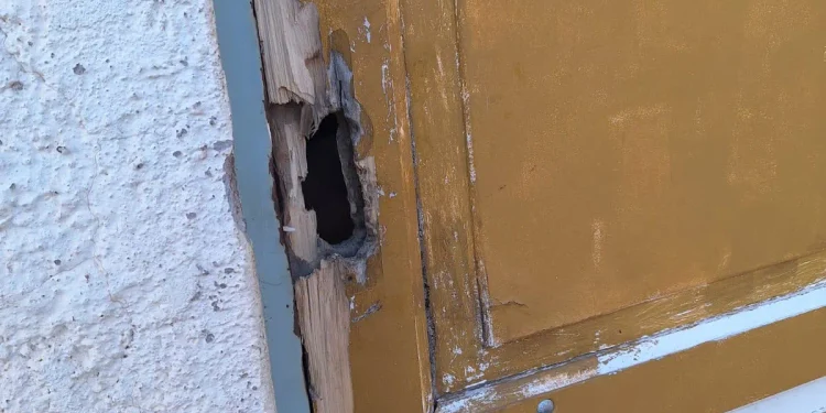 Alerta por las cámaras: intentó entrar a robar a la casa de su vecino no vidente en Chimbas y fue detenido