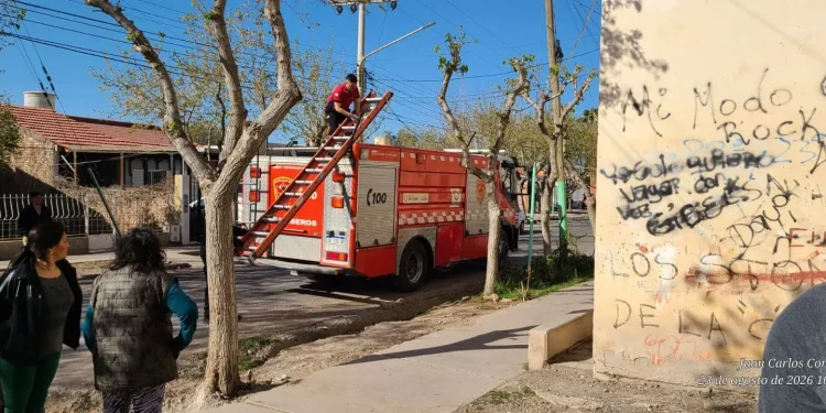 Dramático rescate en altura en el barrio Rivadavia Norte: Bomberos salvó a un hombre atrapado en los techos