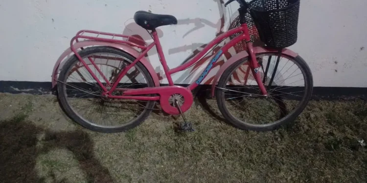 Operativo en Pocito: cayó una joven de 18 años con una moto robada en la vía pública
