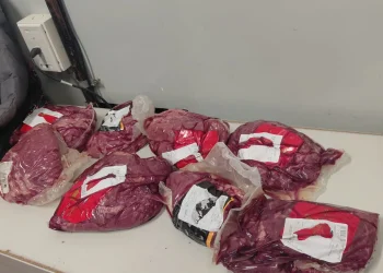 Iban con una nena en brazos, dañaron alarmas y cayeron robando carne y ropa en un hipermercado de Rivadavia