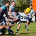 San Juan RC festejó en el clásico sanjuanino tras vencer a Universitario en Pocito