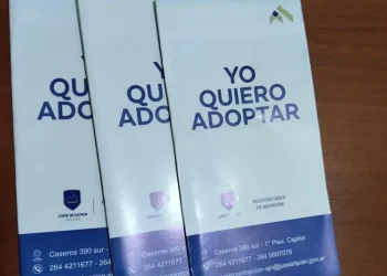 En San Juan hay 106 familias dispuestas a adoptar, pero solo 16 aceptarían menores con alguna discapacidad o enfermedad