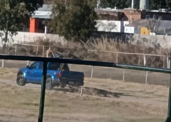 Indignación en el Jockey Club: sacrificaron al caballo «Don Enrique» tras quebrarse en una carrera y lo arrastraron con una camioneta