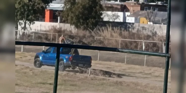 Indignación en el Jockey Club: sacrificaron al caballo «Don Enrique» tras quebrarse en una carrera y lo arrastraron con una camioneta