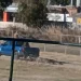 Indignación en el Jockey Club: sacrificaron al caballo «Don Enrique» tras quebrarse en una carrera y lo arrastraron con una camioneta