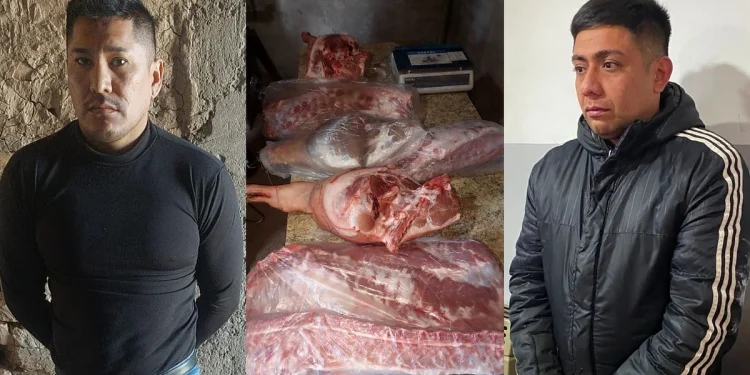 Cayeron los dos delincuentes que asaltaron y ataron de manos al dueño de una fábrica de chacinados en Capital