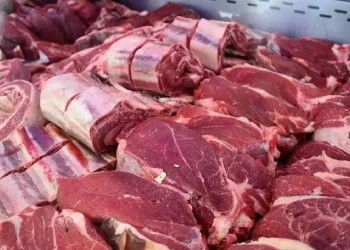 Estados Unidos abrió un nuevo cupo para la importación de carne, pero Argentina quedó afuera