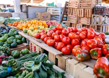 Frutas y verduras en San Juan: tras el cierre del paso a Chile y la merma de oferta, los precios comienzan a normalizarse