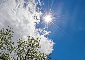 Miércoles agradable en San Juan: se espera una jornada con cielo algo nublado y máxima de 21°C