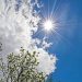 Miércoles agradable en San Juan: se espera una jornada con cielo algo nublado y máxima de 21°C