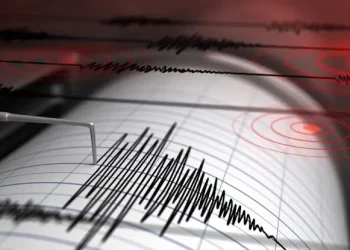 Fuerte sismo con epicentro cerca de Talacasto se hizo sentir en el Gran San Juan y varios departamentos