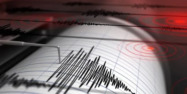 Fuerte sismo con epicentro cerca de Talacasto se hizo sentir en el Gran San Juan y varios departamentos