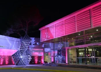 El Museo Franklin Rawson lanza un premio para impulsar la investigación en artes visuales