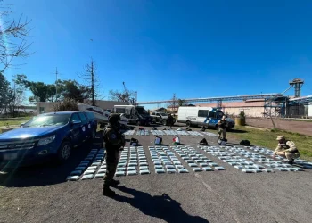 Golpe al narcotráfico: secuestraron casi 500 kilos de cocaína y detuvieron a cinco personas