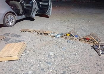 Golpe al tráfico de fauna en San Juan: rescataron 30 aves silvestres y labraron tres actas en un control nocturno