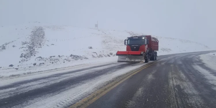 Alerta en la Cordillera: el temporal de nieve dejó atrapados a cientos de camiones y cerró el Paso Pino Hachado