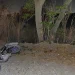 Tragedia en Pocito: un motociclista de 39 años se estrelló contra un árbol y murió en el acto