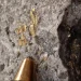 Récord histórico en Gualcamayo: hallaron la mayor ley de oro de su historia y abre un nuevo horizonte en Jáchal