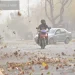 Alerta amarilla por fuertes vientos en San Juan: pronostican ráfagas superiores a los 100 km/h y advierten por riesgo extremo de incendios