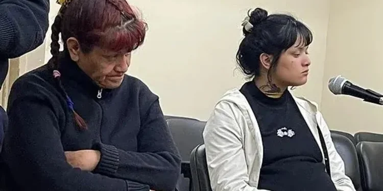 Insólito robo en el Centro Cívico: arrancó un secamanos eléctrico del baño y fue condenada a prisión efectiva