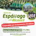 Por el viento Zonda, la Fiesta del Espárrago y el Alcaucil se reprograma para el 4 de octubre