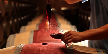Día del Enólogo: una celebración que nació en San Juan hace más de 160 años y marcó la historia del vino argentino
